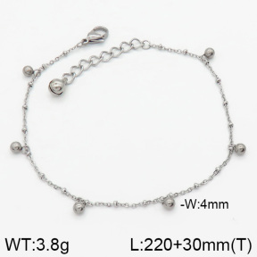 Stainless Steel Anklets  2A9000296vbnb-314