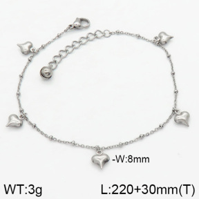 Stainless Steel Anklets  2A9000298vbnb-314