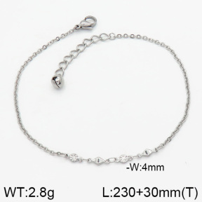 Stainless Steel Anklets  2A9000300vbmb-314