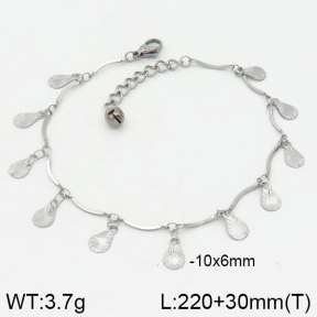 Stainless Steel Anklets  2A9000313vbnb-314