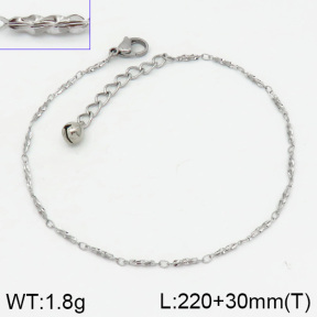 Stainless Steel Anklets  2A9000343vbmb-314