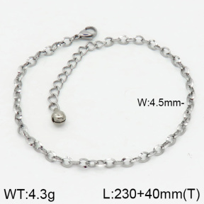 Stainless Steel Anklets  2A9000344vbnb-314