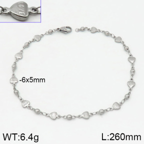 Stainless Steel Anklets  2A9000349vbnl-314