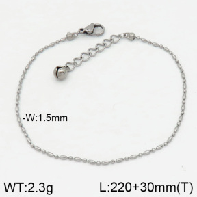 Stainless Steel Anklets  2A9000350vbmb-314