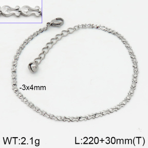 Stainless Steel Anklets  2A9000353vbnb-314