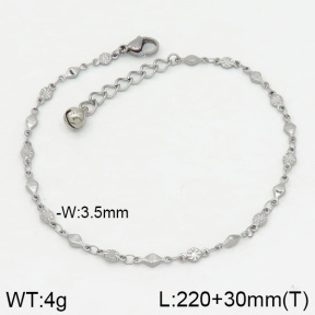Stainless Steel Anklets  2A9000357vbnb-314