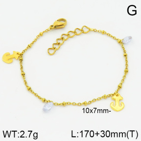 Stainless Steel Bracelet  2B4000741vbnb-314