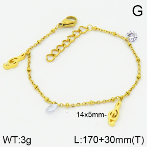 Stainless Steel Bracelet  2B4000742vbnb-314