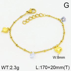 Stainless Steel Bracelet  2B4000744vbnb-314