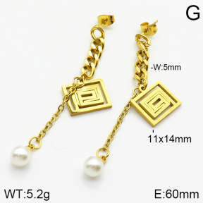 Stainless Steel Earrings  2E3000480ablb-653