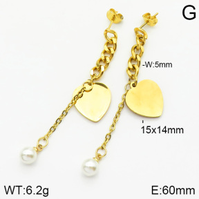 Stainless Steel Earrings  2E3000486ablb-653