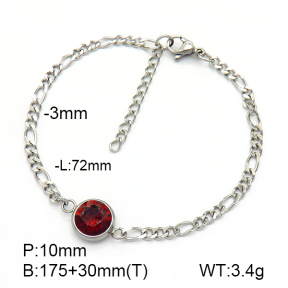Stainless Steel Bracelet  Zircon  7B4000145vbmb-908