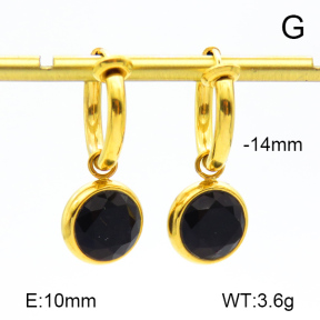 Stainless Steel Earrings  Zircon  7E4000184vhha-908