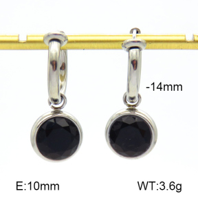 Stainless Steel Earrings  Zircon  7E4000185bhva-908
