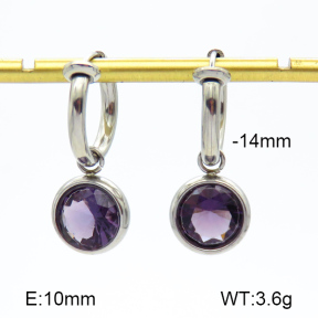 Stainless Steel Earrings  Zircon  7E4000187bhva-908