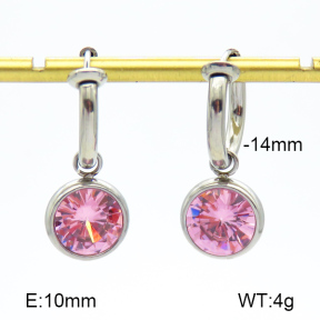 Stainless Steel Earrings  Zircon  7E4000189bhva-908