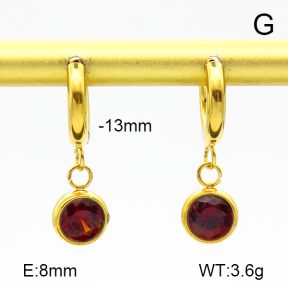 Stainless Steel Earrings  Zircon  7E4000196bhva-908