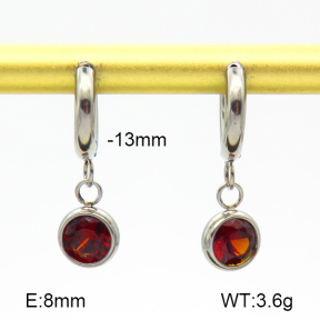 Stainless Steel Earrings  Zircon  7E4000197vbpb-908
