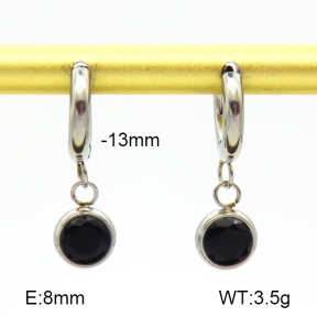 Stainless Steel Earrings  Zircon  7E4000199vbpb-908