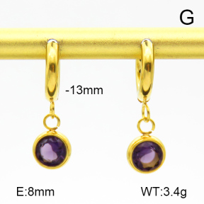 Stainless Steel Earrings  Zircon  7E4000200bhva-908