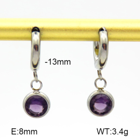 Stainless Steel Earrings  Zircon  7E4000201vbpb-908