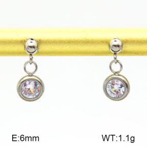 Stainless Steel Earrings  Zircon  7E4000207vbnb-908