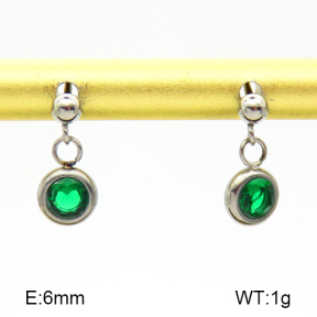 Stainless Steel Earrings  Zircon  7E4000209vbnb-908