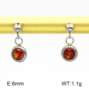 Stainless Steel Earrings  Zircon  7E4000211vbnb-908