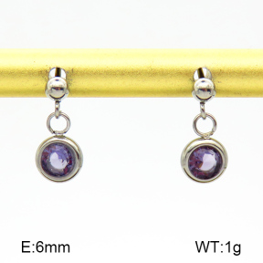 Stainless Steel Earrings  Zircon  7E4000215vbnb-908