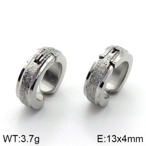 Stainless Steel Earrings  2E2000589baka-387