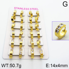 Stainless Steel Earrings  2E4000820bnib-387