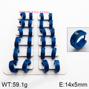 Stainless Steel Earrings  2E4000821bnib-387