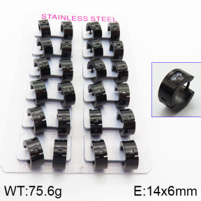 Stainless Steel Earrings  2E4000822bnib-387