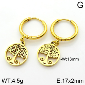 Stainless Steel Earrings  2E2000590bbml-434