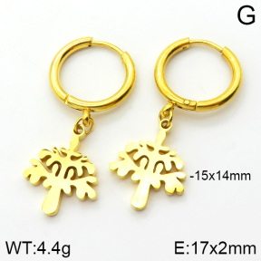 Stainless Steel Earrings  2E2000591bbml-434