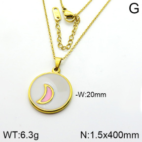 Stainless Steel Necklace  2N3000420abol-434