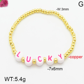 Fashion Copper Bracelet  F5B300673vbmb-J128