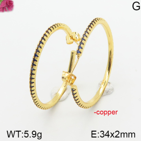 Fashion Copper Earrings  F5E400391ahlv-J111