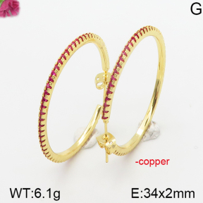 Fashion Copper Earrings  F5E400393ahlv-J111
