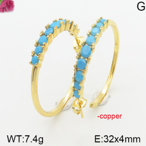 Fashion Copper Earrings  F5E400408ahlv-J111