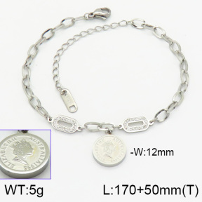 Stainless Steel Bracelet  2B4000776vbpb-617
