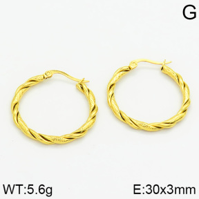 Stainless Steel Earrings  2E2000594ahjb-706