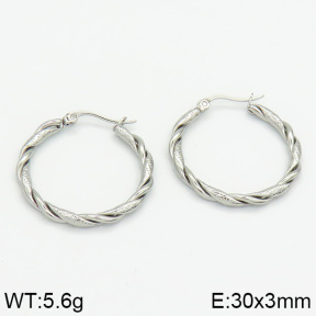 Stainless Steel Earrings  2E2000595bhia-706