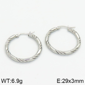 Stainless Steel Earrings  2E2000596bhia-706