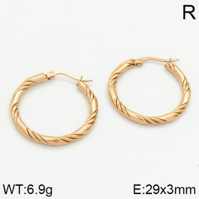 Stainless Steel Earrings  2E2000598ahjb-706