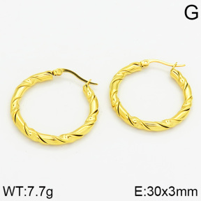 Stainless Steel Earrings  2E2000600ahjb-706