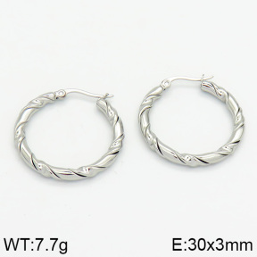 Stainless Steel Earrings  2E2000601bhia-706