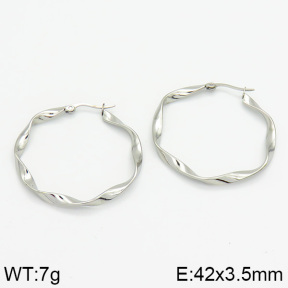 Stainless Steel Earrings  2E2000602bhia-706