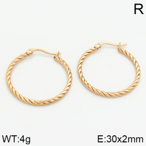 Stainless Steel Earrings  2E2000605ahjb-706