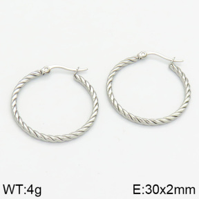 Stainless Steel Earrings  2E2000607bhia-706